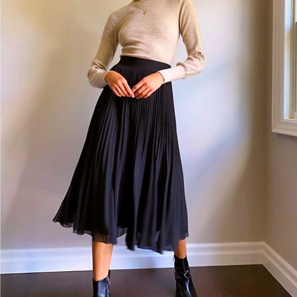 Gorgeous NWT black accordion 🪗 skirt from a new day